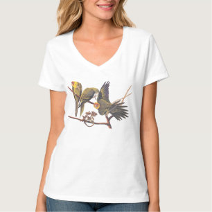 T-shirt Audubon Carolina Parakeet Trio