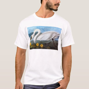 T-shirt Audubon : Cygne commun