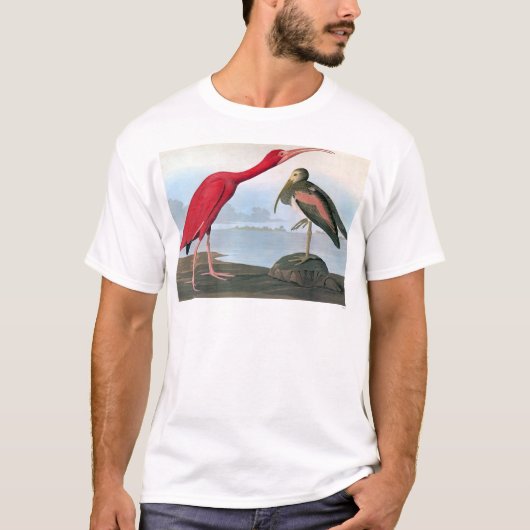 T-shirt Audubon : Écarlate IBIS (Devant)