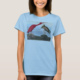 T-shirt Audubon : Écarlate IBIS