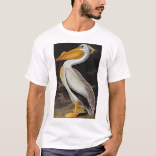 T-shirt Audubon : Grand Pélican blanc