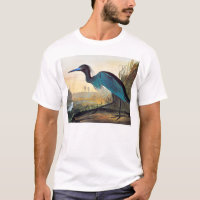 Audubon : Héron de petit bleu