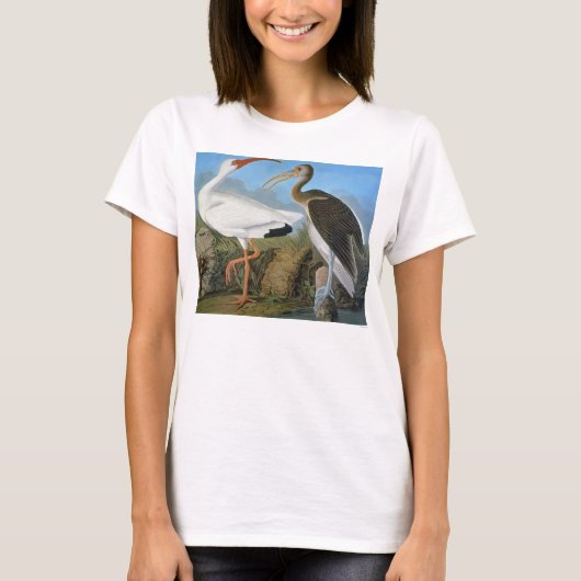 T-shirt Audubon : Ibis blanc (Devant)