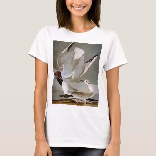 T-shirt Audubon : La mouette de Bonaparte (Devant)