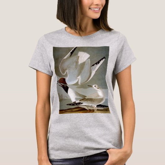 T-shirt Audubon : La mouette de Bonaparte (Devant)