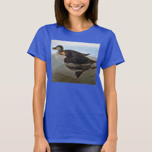 T-shirt Audubon : Macreuse noire
