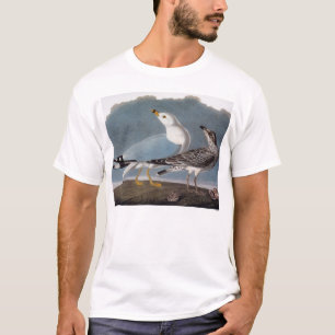 T-shirt Audubon : Mouette Anneau-Affichée