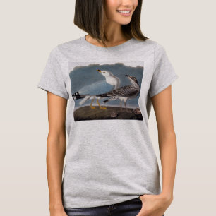 T-shirt Audubon : Mouette Anneau-Affichée