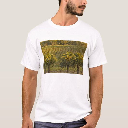 T-shirt Australie, Australie du Sud, vallée de Barossa, (Devant)