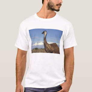 T-shirt Australie, Australie occidentale. Émeu (Dromaius