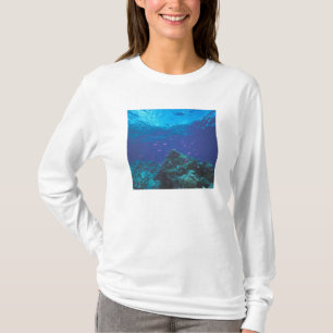 T-shirt Australie, Grande Barrière de corail. Fourmillant 