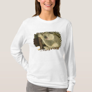 T-shirt Australie, Queensland, Brisbane. Fig Tree