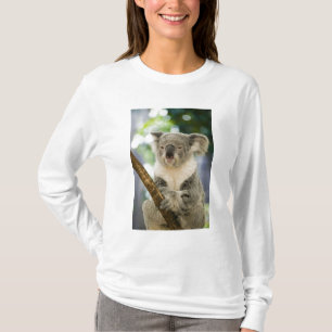 T-shirt Australie, Queensland, Brisbane, Fig Tree