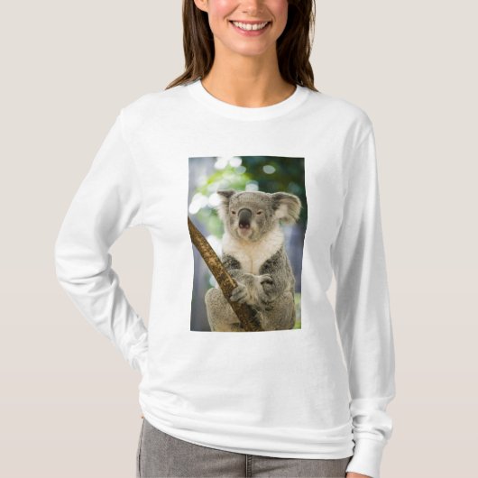 T-shirt Australie, Queensland, Brisbane, Fig Tree (Devant)