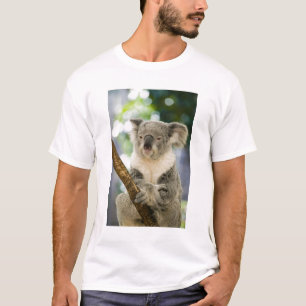 T-shirt Australie, Queensland, Brisbane, Fig Tree