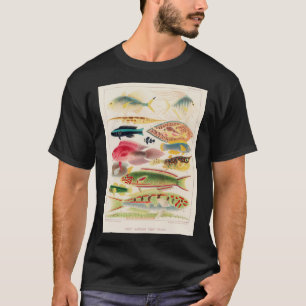 T-shirt Australie vintage Grande Barrière de corail Poiss