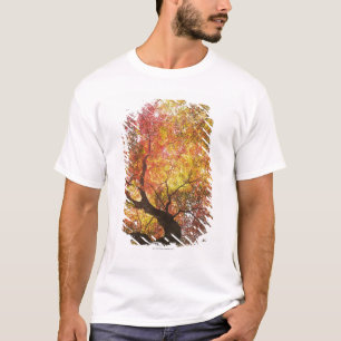 T-shirt Automne