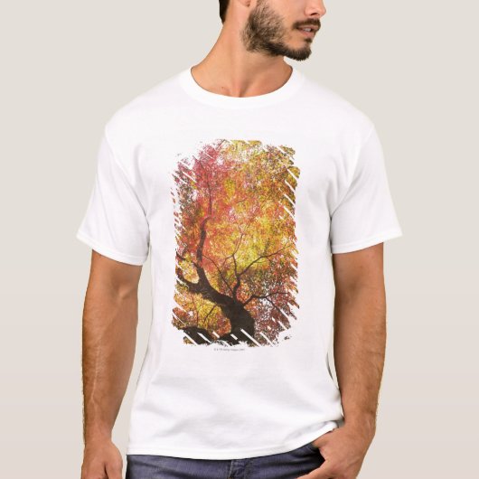 T-shirt Automne (Devant)