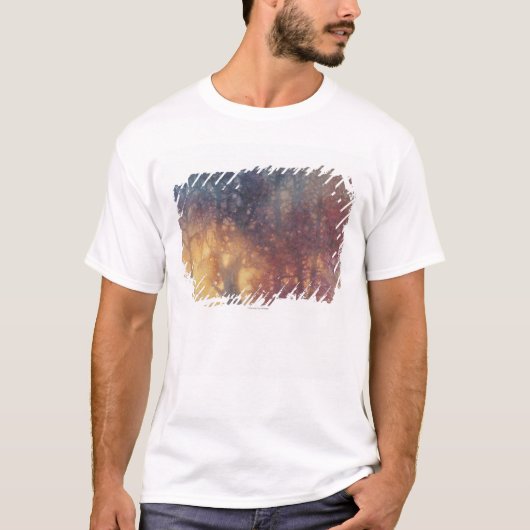 T-shirt Automne coloré (Devant)