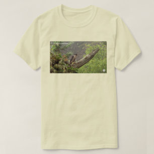 T-shirt Automne - Faucon pèlerin