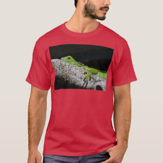 T-shirt Autre vue de Lizard vert