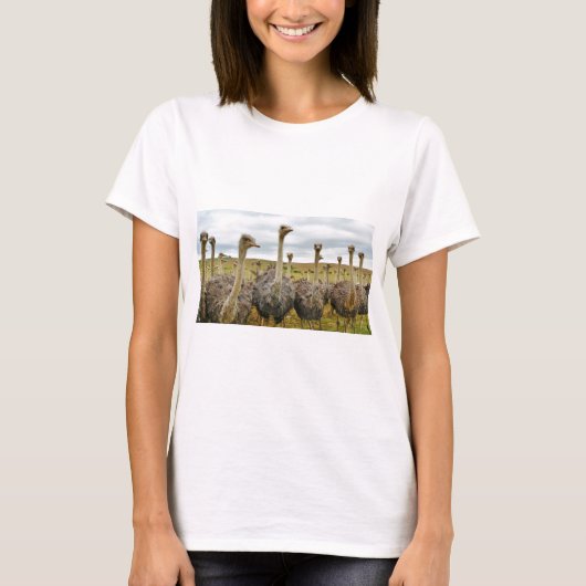 T-shirt autruche (Devant)