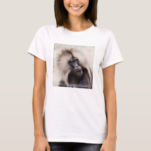 T-shirt Babouin gelada, Éthiopie