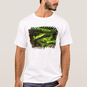 T-shirt Bacille de la tuberculose