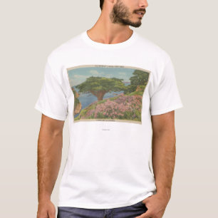 T-shirt Baie de Carmel, CA - vue d'arbre de "vieux