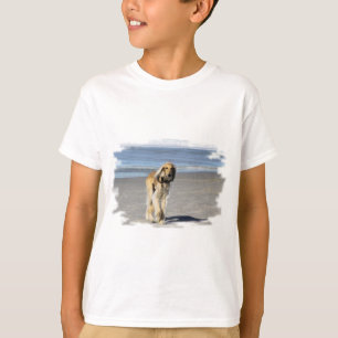 T-shirt Balade de Saluki sur la plage