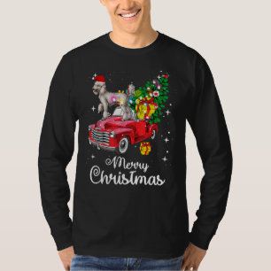 T-shirt Balades en caniche Camion Redss Pajama de Noël