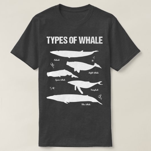 T-shirt baleine 2 4 (Design devant)