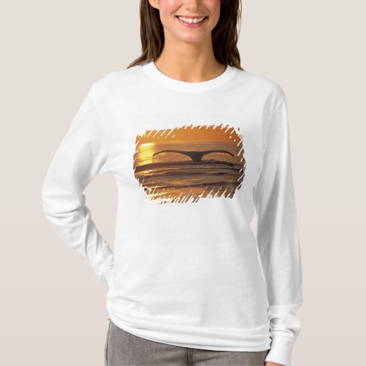 T-shirt Baleine à bosse (Devant)