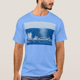 T-shirt Baleines du Sud