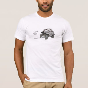 T-shirt baliverne de tortue