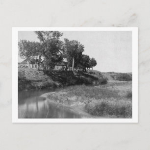 T-shirt balk op Pet Creek-foto Briefkaart