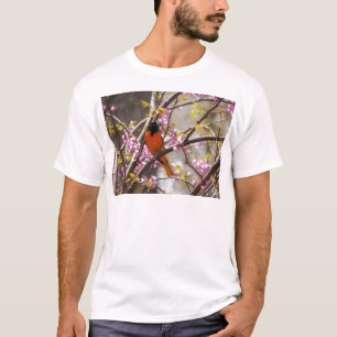 T-shirt Baltimore Oriole