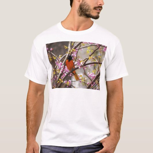 T-shirt Baltimore Oriole (Devant)