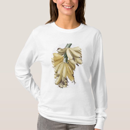 T-shirt Banane, 1816 (Devant)