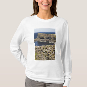 T-shirt basalte polygonal, Staffa, au large de l'île de Mu