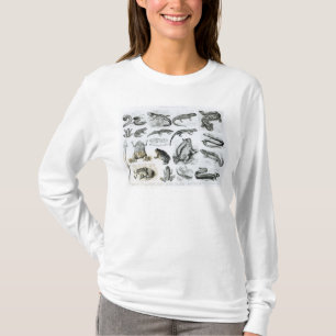 T-shirt Batraciens et d'autres amphibiens