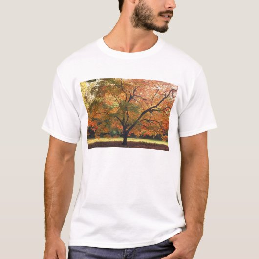 T-shirt Beau arbre d'automne (Devant)