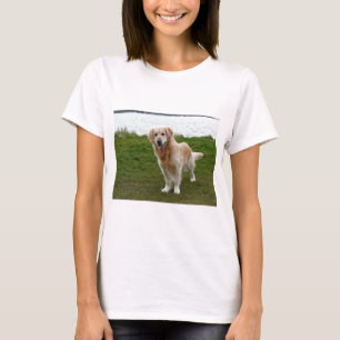 T-shirt Beau chien Retriever doré debout
