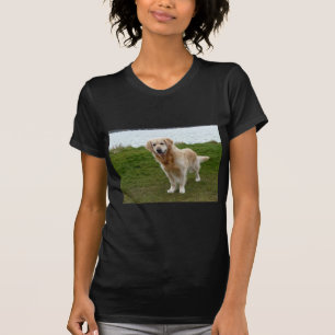 T-shirt Beau chien Retriever doré debout