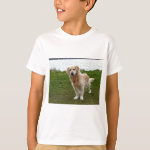 T-shirt Beau chien Retriever doré debout