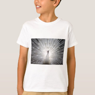 T-shirt Beau paon blanc