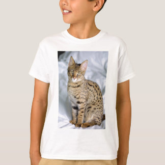 T-shirt Beau visage de chat mou du Bengale
