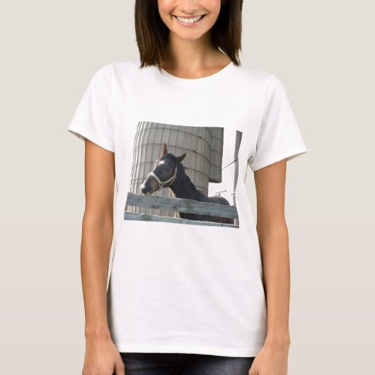 T-shirt Beauté de l'étalon noir (Devant)