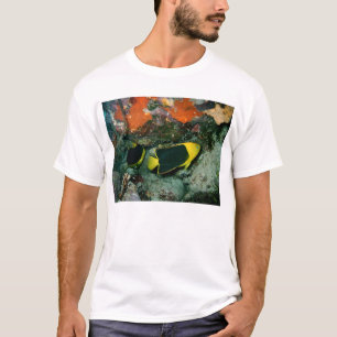 T-shirt Beautés de roche
