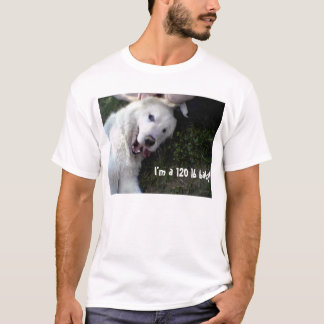 T-shirt bébé de 120 livres